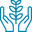 Growth icon